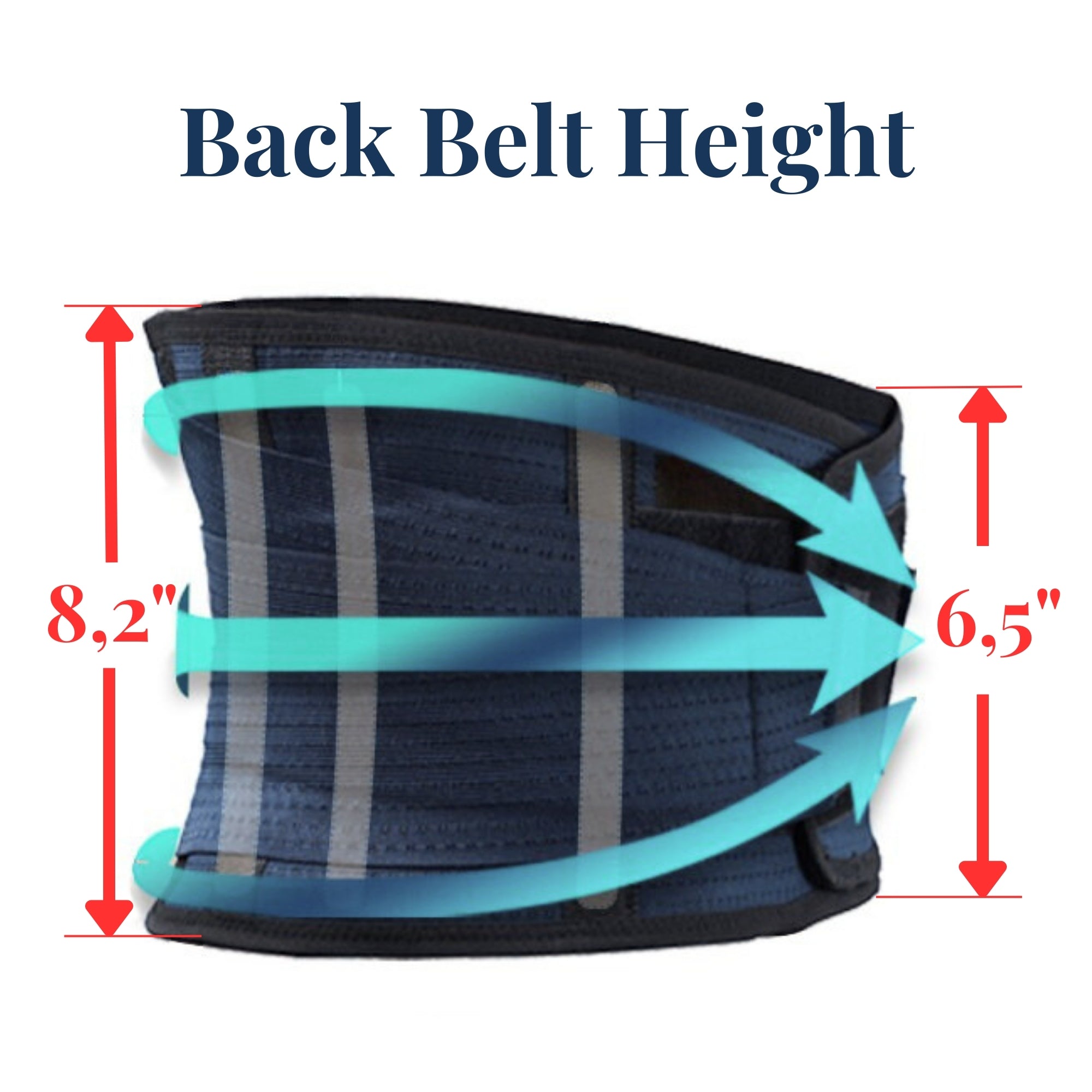 AVESTON® Back Support Lower Back Brace for Back Pain Relief | Lumbar Support Belt