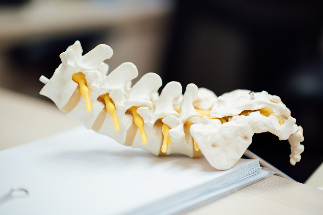 Causes of Chronic Back Pain and Relieving – AVESTON