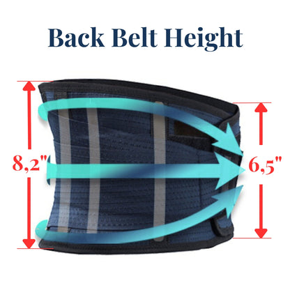AVESTON® Back Support Lower Back Brace for Back Pain Relief | Lumbar Support Belt